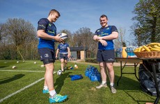 2016 thrashing has little relevance to 1/4 final, but Leinster won't forget bitter memory of Wasps
