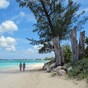 Ireland has been accused of rivalling the Cayman Islands when it comes to tax avoidance