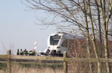 Man and three-year-old son killed as car collides with train in Netherlands