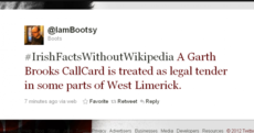 Crisps, Elvis and Riverdance: 30 of our favourite 'Irish Facts without Wikipedia'