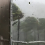 'Like a war zone': Tourist areas badly hit as Cyclone Debbie ravages Australia coast