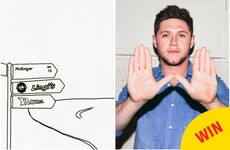 12 times Niall Horan was just SO Mullingar