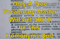 Only A True Vocabulary Master Will Get 10/10 In This Homonyms Quiz