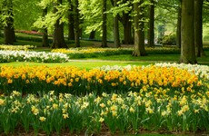 Fun poll: Is it okay to pick flowers from public land?