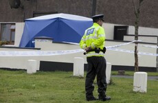 Murders up 31% in Ireland with 38 in 2016