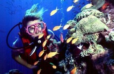 Fears cyclone will turn parts of Great Barrier Reef into 'underwater wasteland'