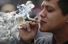 'The sky hasn't fallen': The cannabis business is in great shape in Trump's America
