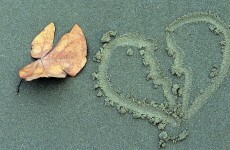 Two in five Irish people have been unfaithful