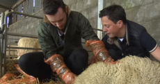 Big Week on the Farm is back - here's a reminder of why it was such a hit last year
