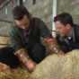 Big Week on the Farm is back - here's a reminder of why it was such a hit last year