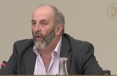 'Nobody caused a fatality by having three glasses of Guinness drank' - Healy Rae argues against new drink-driving laws