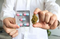 'HPRA guidance is biased. It didn't use expert advisors with practical experience of cannabis'