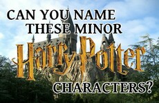 Can You Name These Minor Harry Potter Characters?