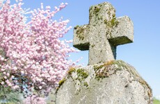 Poll: Should graveyards charge for parking?