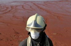 Hungary races to build emergency dam