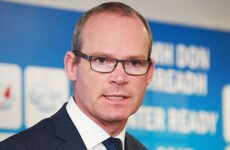 Simon Coveney says water committee seems to be moving in 'extremely worrying' direction