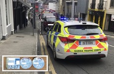 Gardaí stop driver for wearing no seatbelt, find fake tax and insurance discs