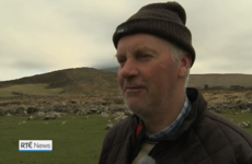 Last night's RTÉ News featured some of the strongest Kerry accents ever to grace Irish TV