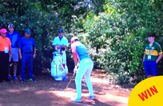 A young lad in a Kerry jersey was the real winner at yesterday's Masters
