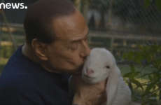 Some people in Italy are very upset about Silvio Berlusconi hugging and kissing this lamb