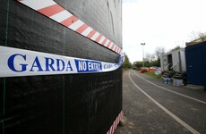 'Mostly intact' torso found in Dublin park in search for body of convicted rapist James Nolan