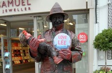 'Save Cork city': Locals are banding together to stop walls being built on the River Lee