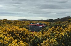 Gorse fires blaze at Mosney as fire brigade warns public to be careful