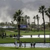 High winds wreak havoc on PGA Tour