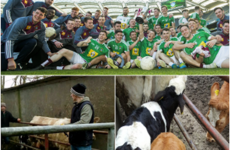Winning titles, clear TB tests, tagging claves and more in our sporting tweets of the week