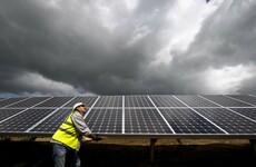 How much money Irish firms could make from solar - and where they can get it