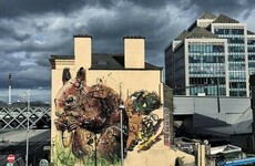 An incredible sculpture made entirely out of rubbish has popped up on Dublin's quays