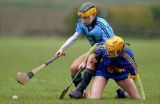Camogie league final pairings decided as Cork and Dublin advance