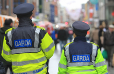 Garda's wrist broken in Dublin assault