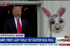 15 of the quickest reactions to Trump's appearance with the Easter Bunny