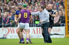 Wexford hero Storey admits Davy Fitz was 'totally wrong' but urges leniency from GAA chiefs