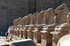 Mummies and 1,000 statues found in search of 3,500-year-old tomb