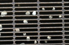 Councillor wants Trim to become Ireland's first chewing gum-free town