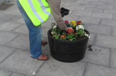 Church of Scientology cleaning up needles on Dublin's Sheriff Street