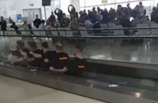 This video of an Antrim stag 'rowing' through Dublin Airport has been viewed nearly 8 million times