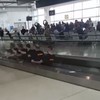 This video of an Antrim stag 'rowing' through Dublin Airport has been viewed nearly 8 million times
