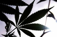 Concerns over increase in drug-driving