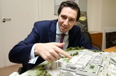 Ex-hospital master to Simon Harris: 'Ask nuns about their plans for €300m hospital'