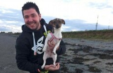 Prime Time questions if killer of Garda Tony Golden was garda informer