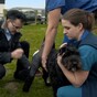 The charming Irish Supervet was back on Channel 4 last night saving these adorable dogs