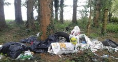 Photos: Litter-picking turf-war at Blessington Lakes leaves locals frustrated