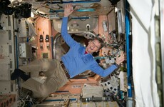 'That's fantastic': Record-breaking astronaut receives congratulatory call from Donald Trump