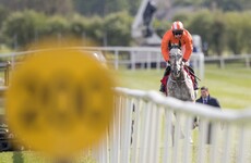 Shock Cheltenham winner Labaik refused to start another race today
