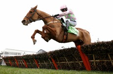 Annie Power, Willie Mullins' beloved wondermare, may have run her last race
