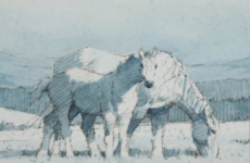 Here are some of the big name artists' paintings that sold for €50 last week
