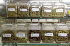 Areas with legal marijuana shops have no more crime than areas with bars